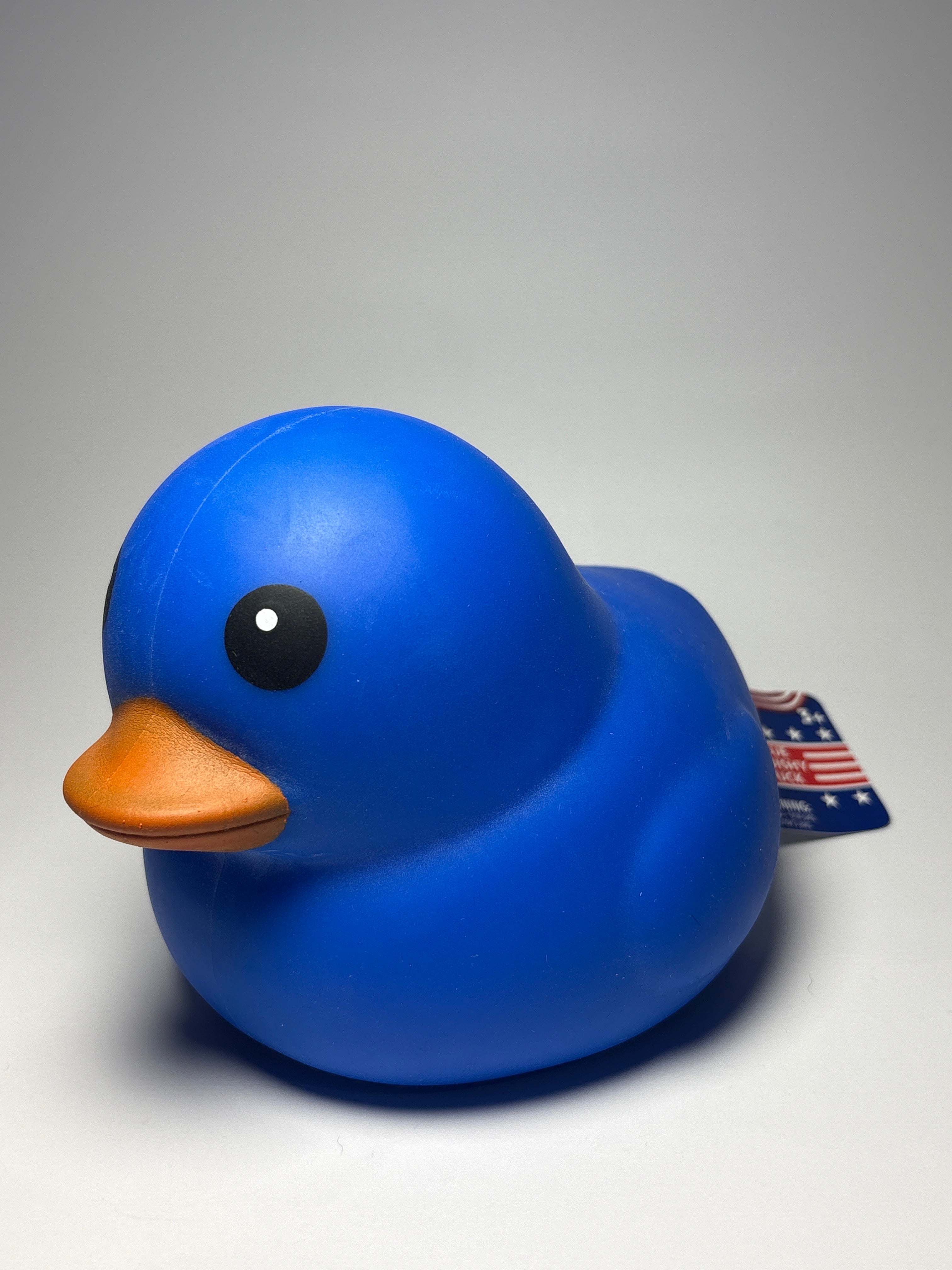 Sunny Days Duck