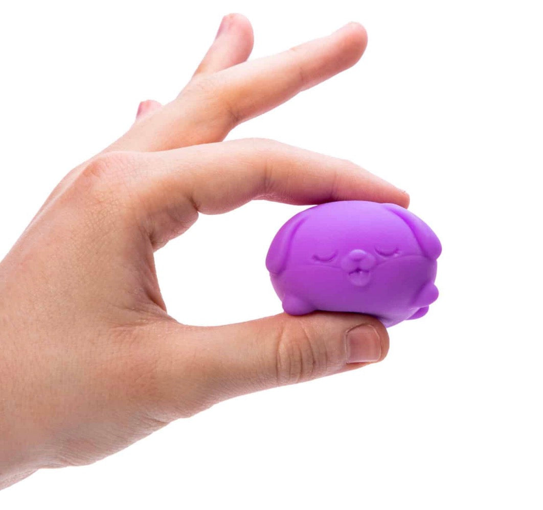 NeeDoh – Teenie Funky Pup 3-Pack (Schylling)
